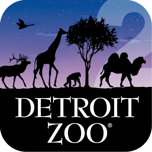 Live Animal Cams