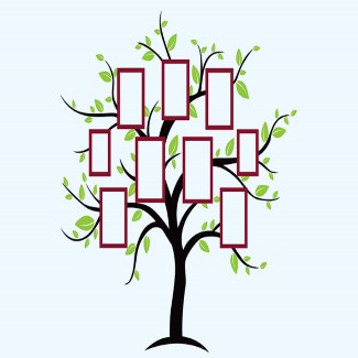 Family tree wall stickerdecal Custom