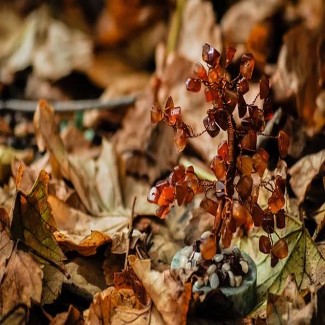 gems 4570888  340 Custom