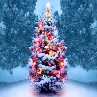 christmas traditions gettyimages 1072744106 Custom