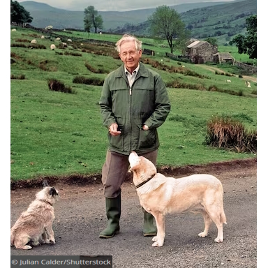 James Herriot Custom 1