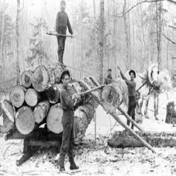 SRP French Settlers Michigan Custom 1