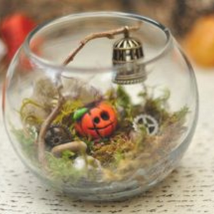 spooky terrariums