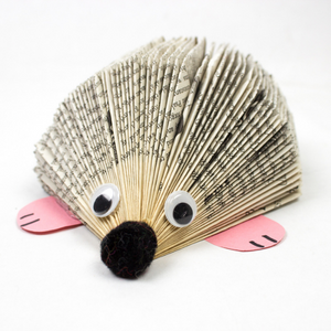 book hedgehog