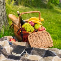 PICNIC fOODS