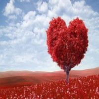 Valentines Day